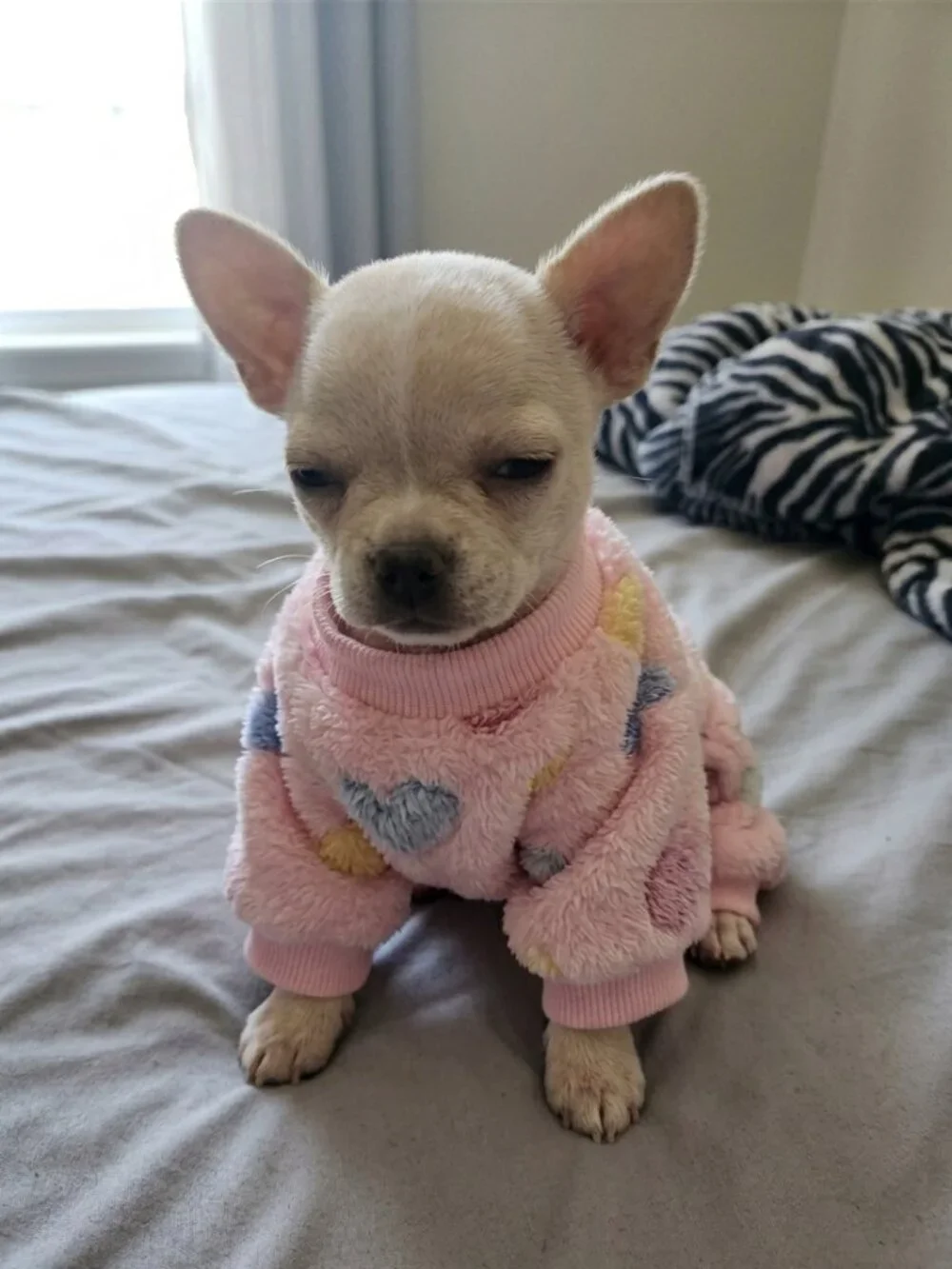 Cozy Pastel Heart Fleece Dog Sweater – Soft Pink Pet Pullover